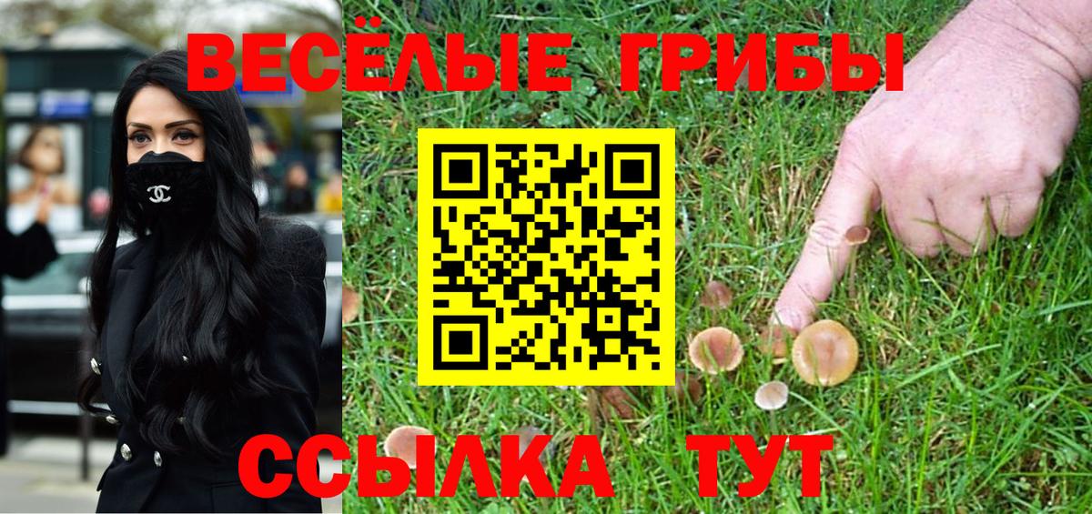 Галлюциногенные грибы ЛСД  Псилоцибиновые грибы Magic Shrooms  продажа наркотиков  Вход с VPN  Ялта 